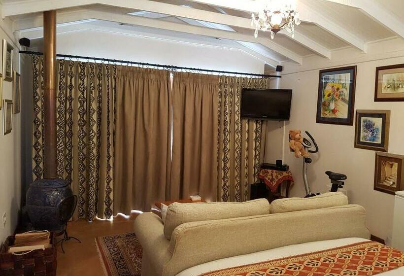 Люкс, Art Gallery Guest House