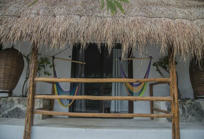高级大房间, 40 Cañones