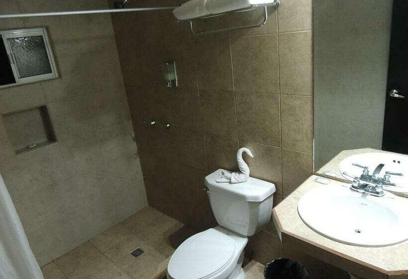 デラックスルーム, Metropolitano Tampico