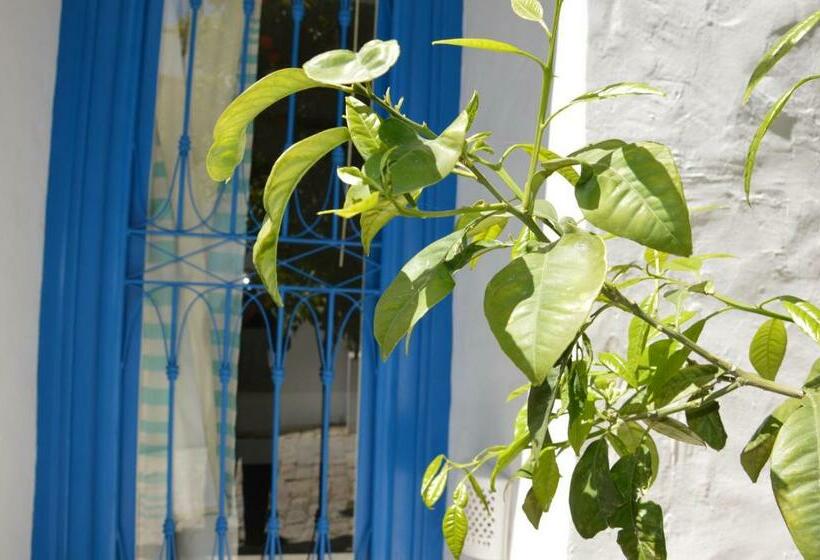 اتاق لوکس با تخت بزرگ, La Chambre Verte