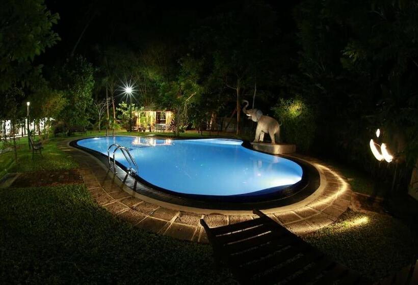 Семейное Бунгало, Villa 80