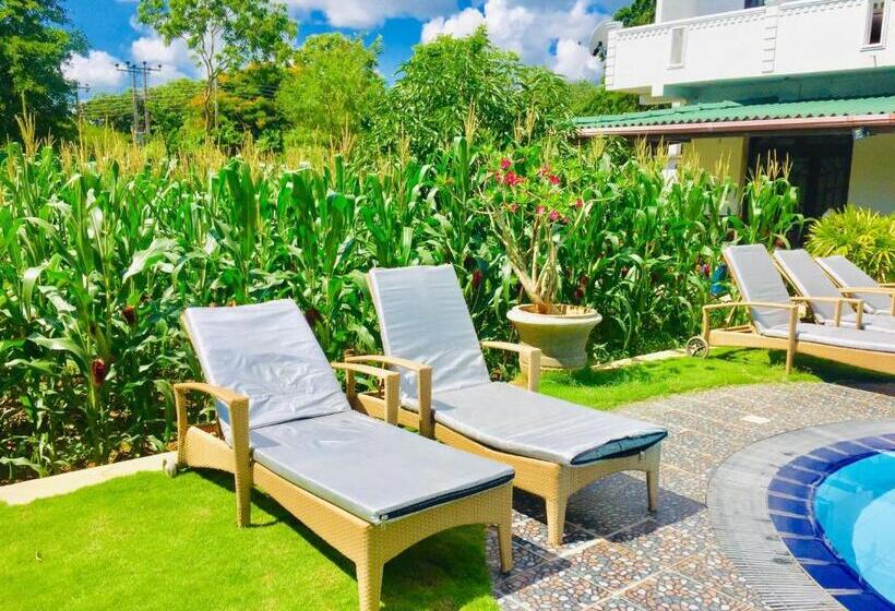 Номер Deluxe Вид на Бассейн, Saman Resort