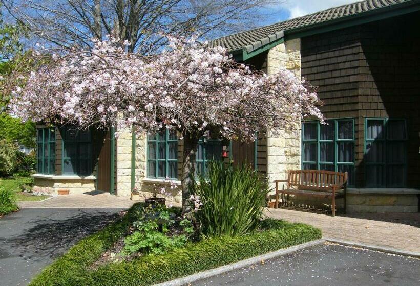 استودیو استاندارد با تخت کینگ, Cambridge Mews Motel