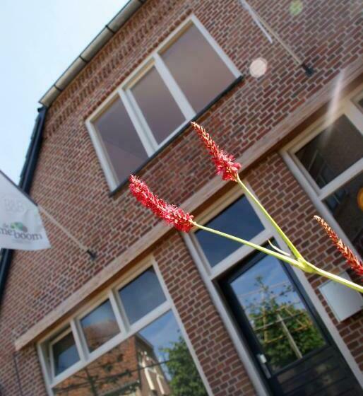 Апартаменты 2 Спальни, B&b Stadslodge De Meiboom
