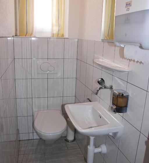 Трехместный Номер Стандарт Совместная Ванная, Glärnisch Hof