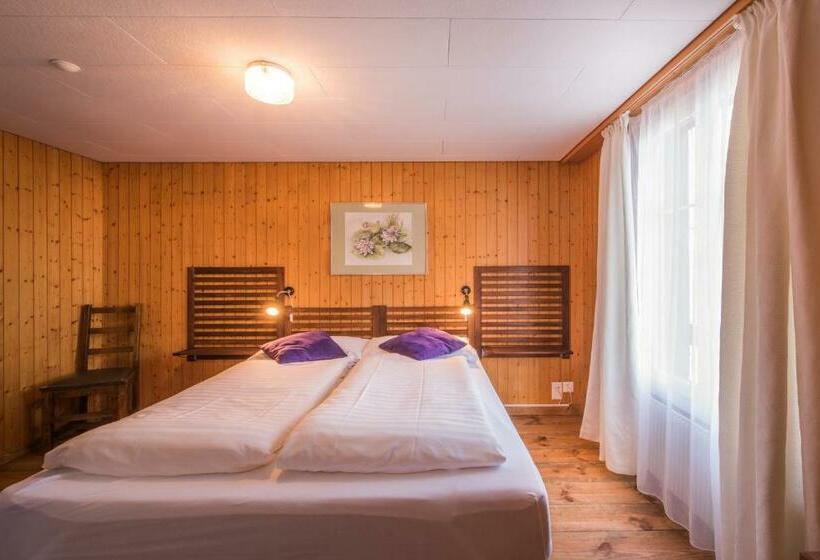 Номер Стандарт, Tell And Apartments