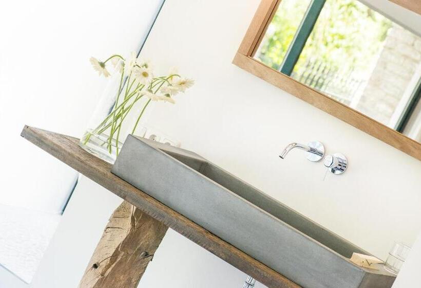 חדר דחוקס עם מיטת קינג, B&b Le Rêve Maastricht