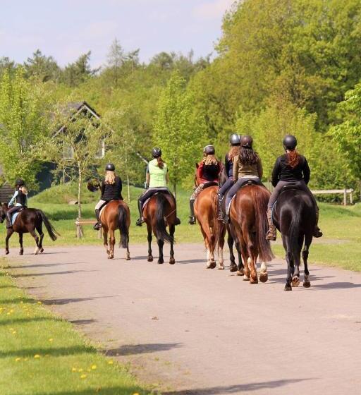 침실 3개 주택, Horsetellerie Rheezerveen