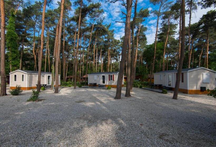Дом 1 Спальня, Motel  Bungalow & Chaletpark De Brenkberg