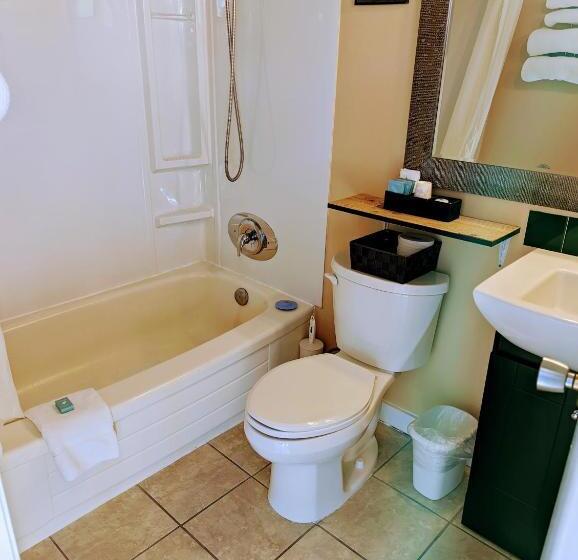 חדר סטנדרט נוף לים עם מרפסת, Above Tide Motel