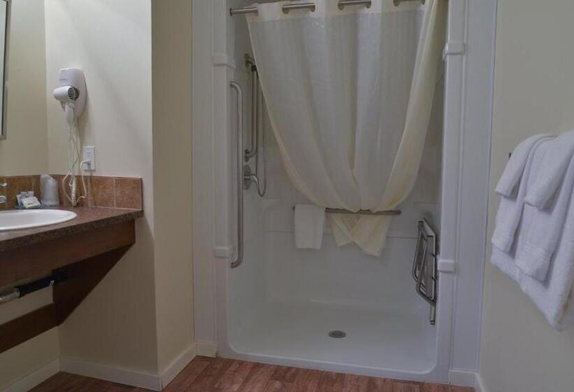 غرفة قياسية سرير كينج لذوى الإحتياجات الخاصة, Days Inn By Wyndham Lamont