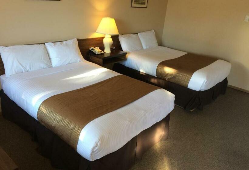 Номер Стандарт, Siesta Motel