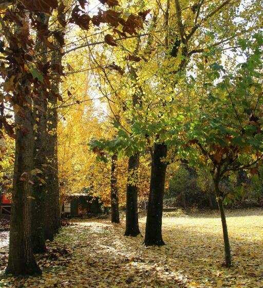 Номер Стандарт, Hostel El Lago, Caceres
