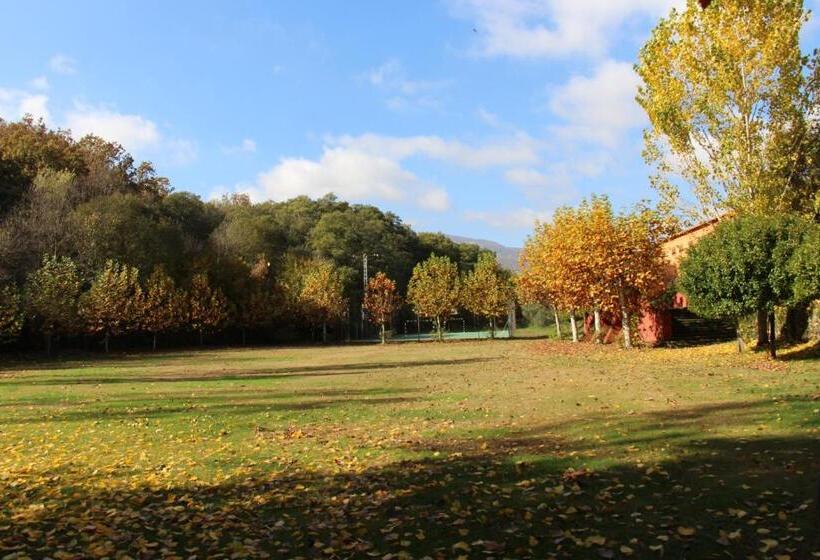 Номер Стандарт Трехместный, Hostel El Lago, Caceres