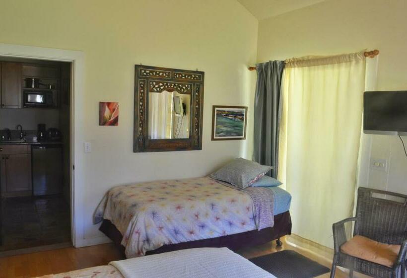 Студия Deluxe, Banyan Tree B&b Retreat