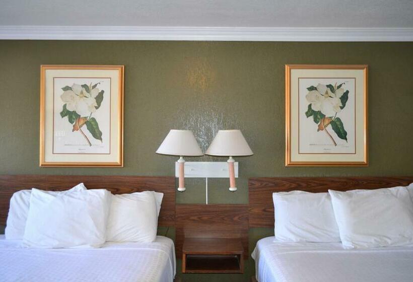 Номер Стандарт, Budget Inn