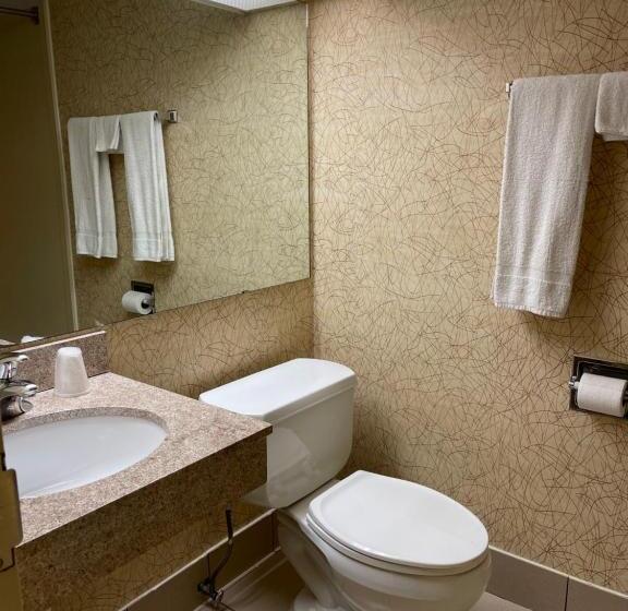 Номер Стандарт, Budget Inn Temple Hills