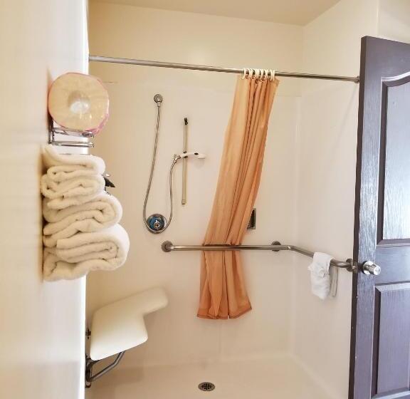 חדר סטנדרט מותאם לאדם עם מוגבלויות, Casa Bella Inn Downtown La