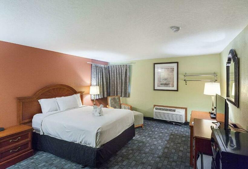 Номер Стандарт, Rodeway Inn
