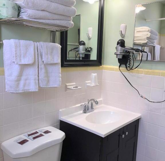 带双人大床的行政管理套房, Sunshine Inn & Suites Venice, Florida