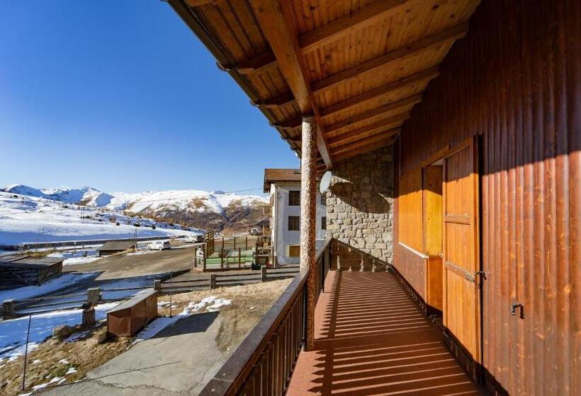 Апартаменты 3 Спальни, Alpino Lodge Bivio