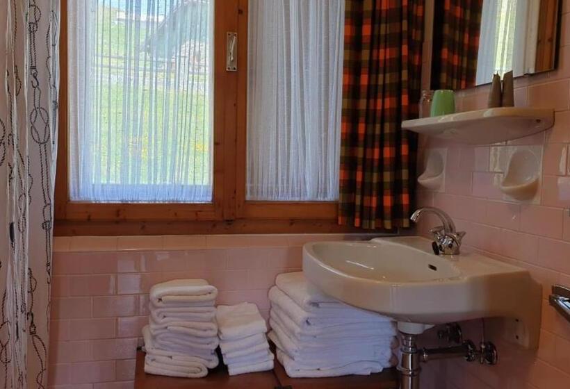 Апартаменты 3 Спальни, Alpino Lodge Bivio