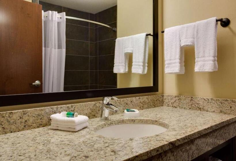 Suite Superior, Drury Plaza Hotel Pittsburgh Downtown