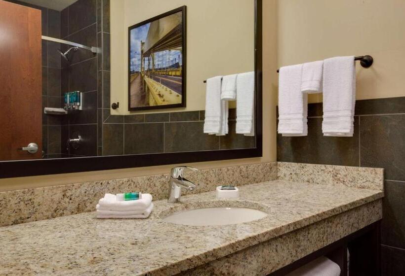 Номер Superior Адаптированный для Инвалидов, Drury Plaza Hotel Pittsburgh Downtown