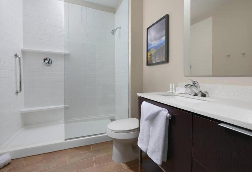 스탠다드 스튜디오, Towneplace Suites By Marriott Denver South/lone Tree