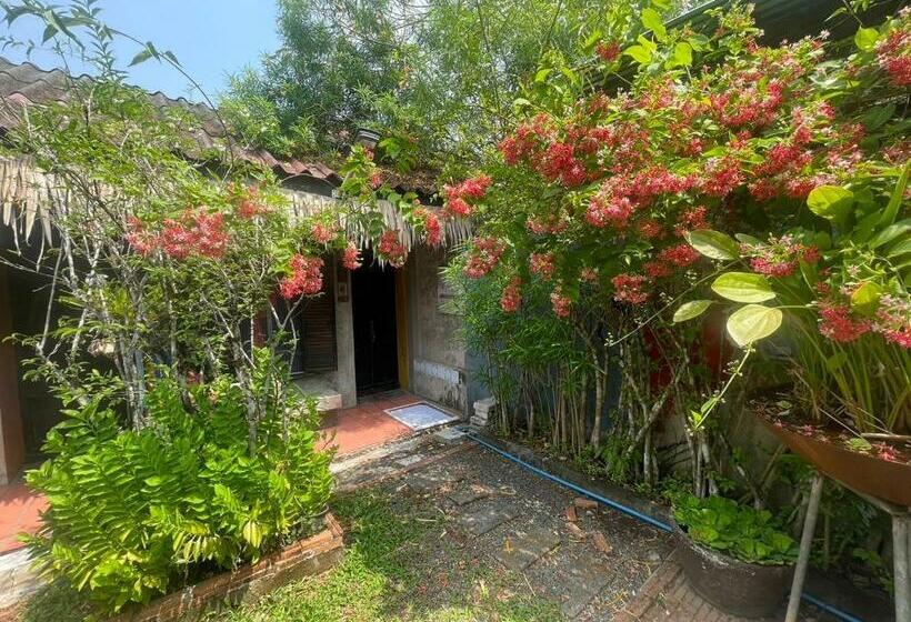 اتاق استاندارد, Artist S Place Trat