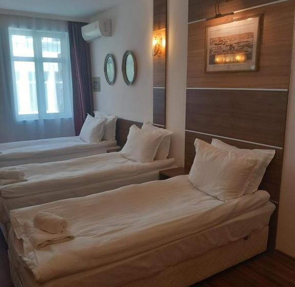 패밀리 스튜디오, Three Dolphins Hotel With Rooftop Terracе