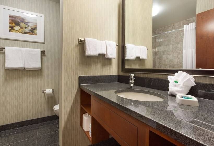 스위트, Drury Plaza Hotel Indianapolis Carmel