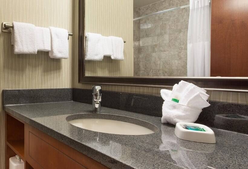 套房, Drury Plaza Hotel Indianapolis Carmel