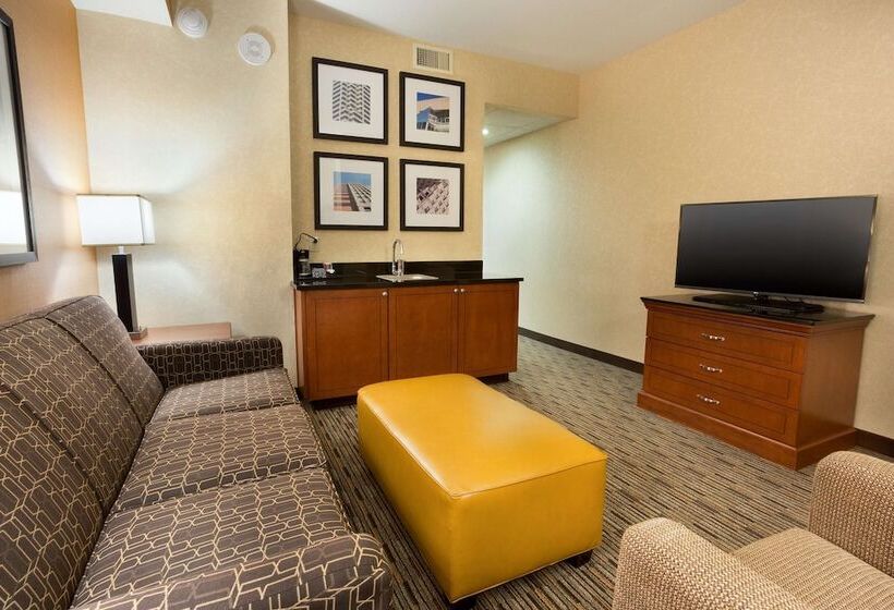 适合残疾人士使用的套间, Drury Plaza Hotel Indianapolis Carmel