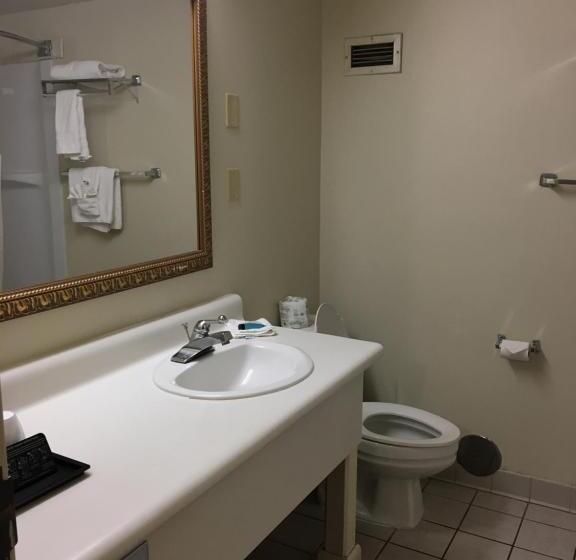 适合残疾人使用的标准间, Econo Lodge Inn & Suites Radfordblacksburg Area