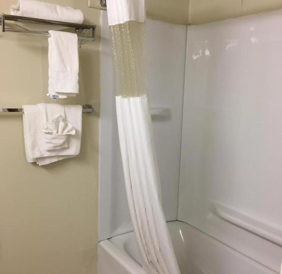 Номер Стандарт Адаптированный для Инвалидов, Econo Lodge Inn & Suites Radfordblacksburg Area