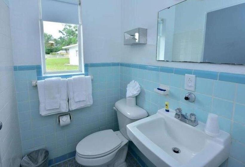 Номер Стандарт, Sun Plaza Motel