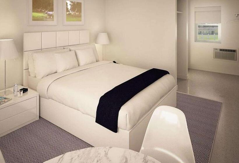 Номер Стандарт, Sun Plaza Motel