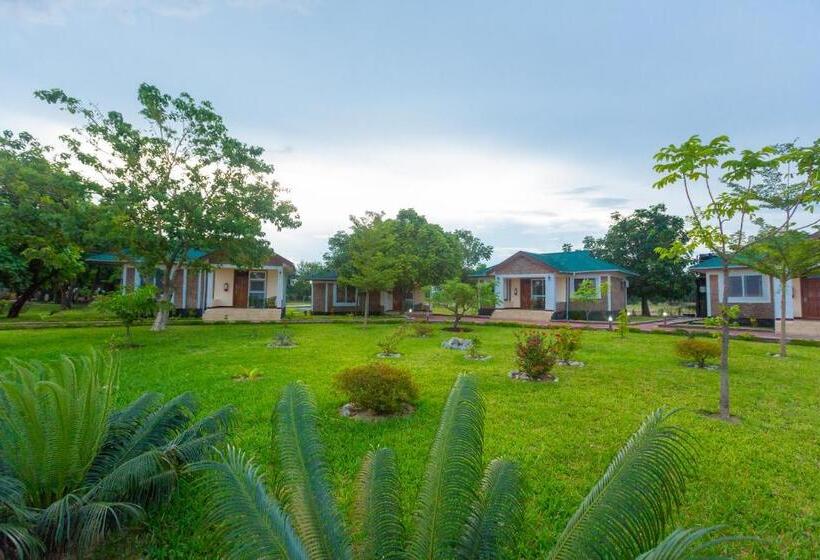 Президентский Люкс, Ngonga Beach Resort