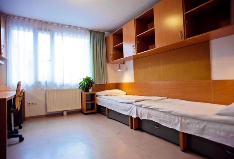 四人标准间, Springfield Private Hostel