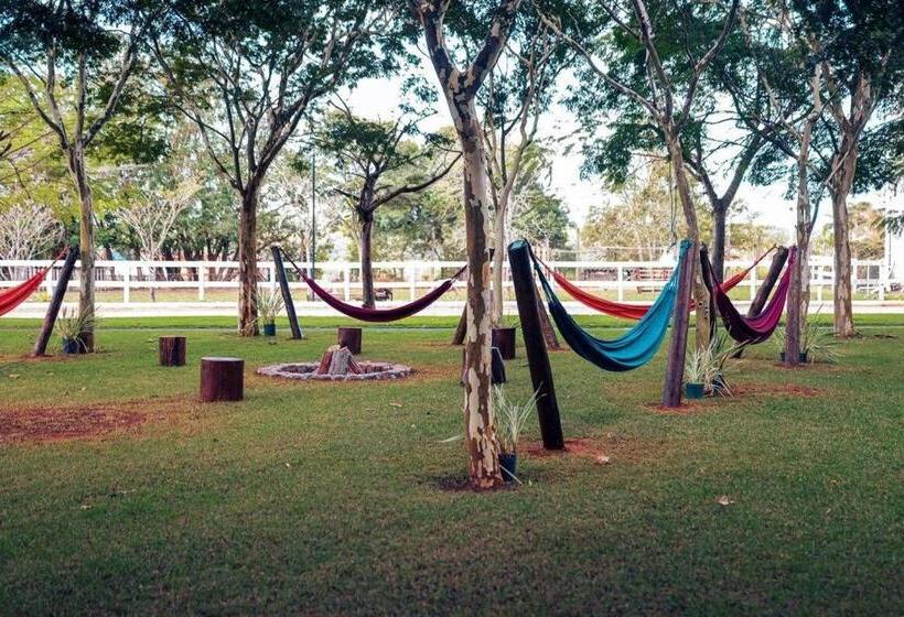 Вилла Superior 1 Спальня, Fazenda Em Itapetininga, Paz, Descanso E Piscinas