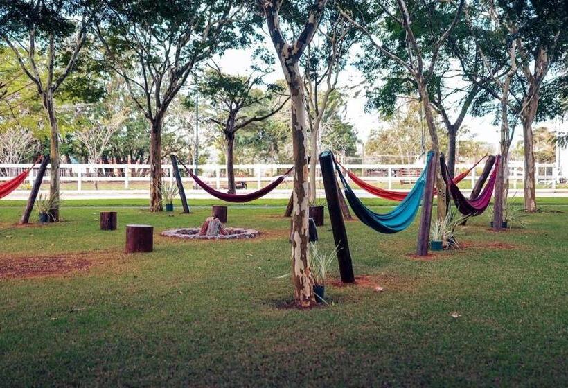 Вилла 1 Спальня, Fazenda Em Itapetininga, Paz, Descanso E Piscinas