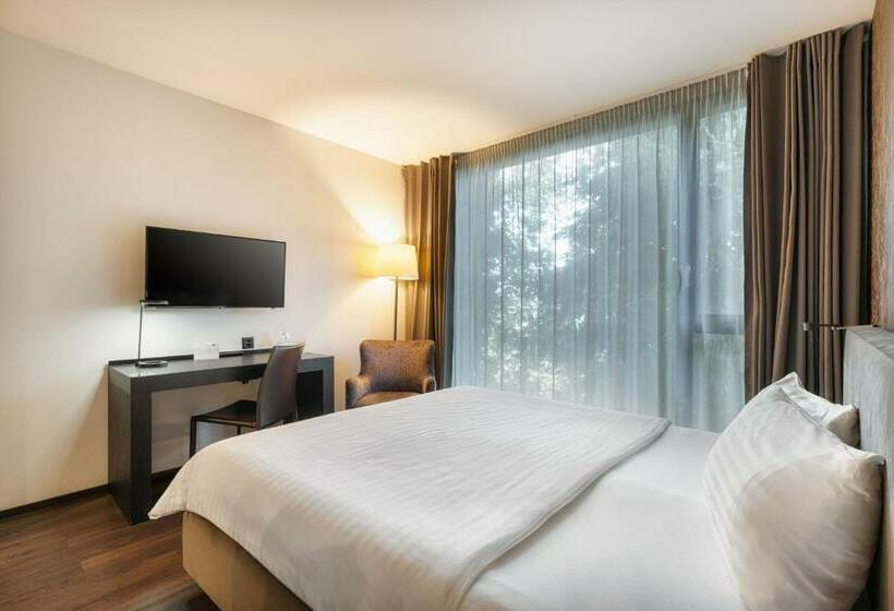 Стандартный Номер Кровать Кинг, B Smart Hotel Widnau