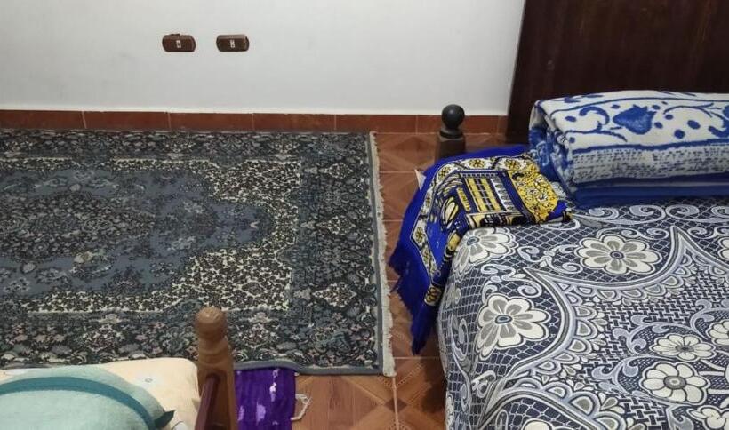 اتاق سوپریور یک تخته, العجمي 21