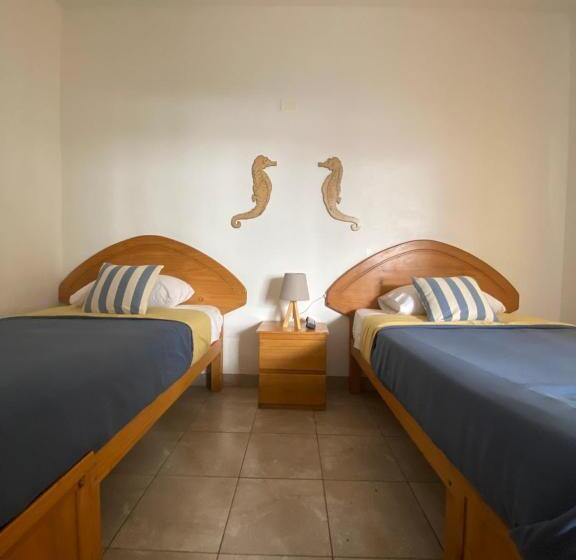 غرفة قياسية, Ravenala Paracas Hostel