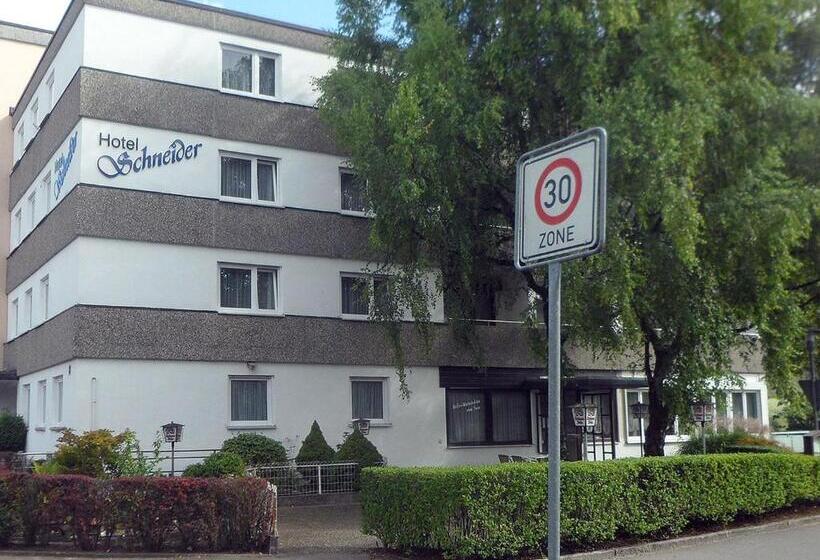 Номер Стандарт Индивидуальный, Schneider