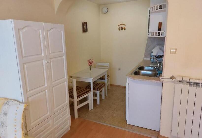 إستديو قياسى مزود بشرفة, Primorski Briz Guest House