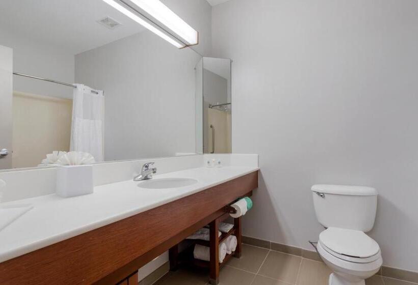 Люкс, Comfort Suites