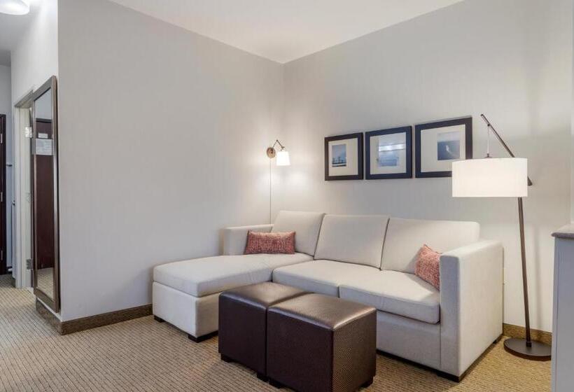 Люкс Адаптированный для Инвалидов, Comfort Suites