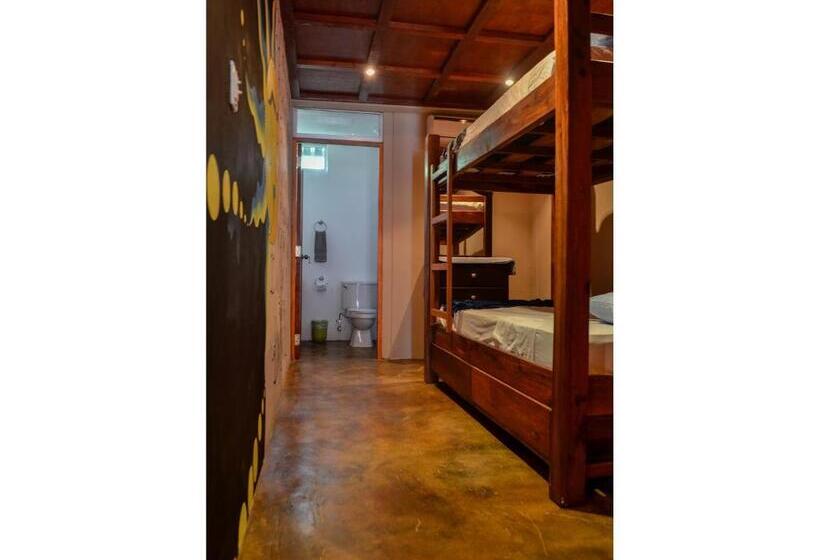 Номер Стандарт, Nuestra Casa